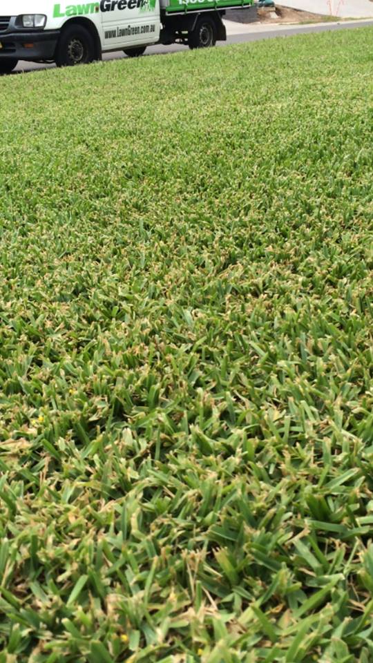 Commercial Lawn Care Franchise